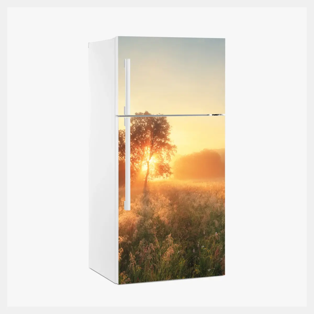Kühlschrankaufkleber goldener sonnenaufgang über nebliger wiese – Pixers®