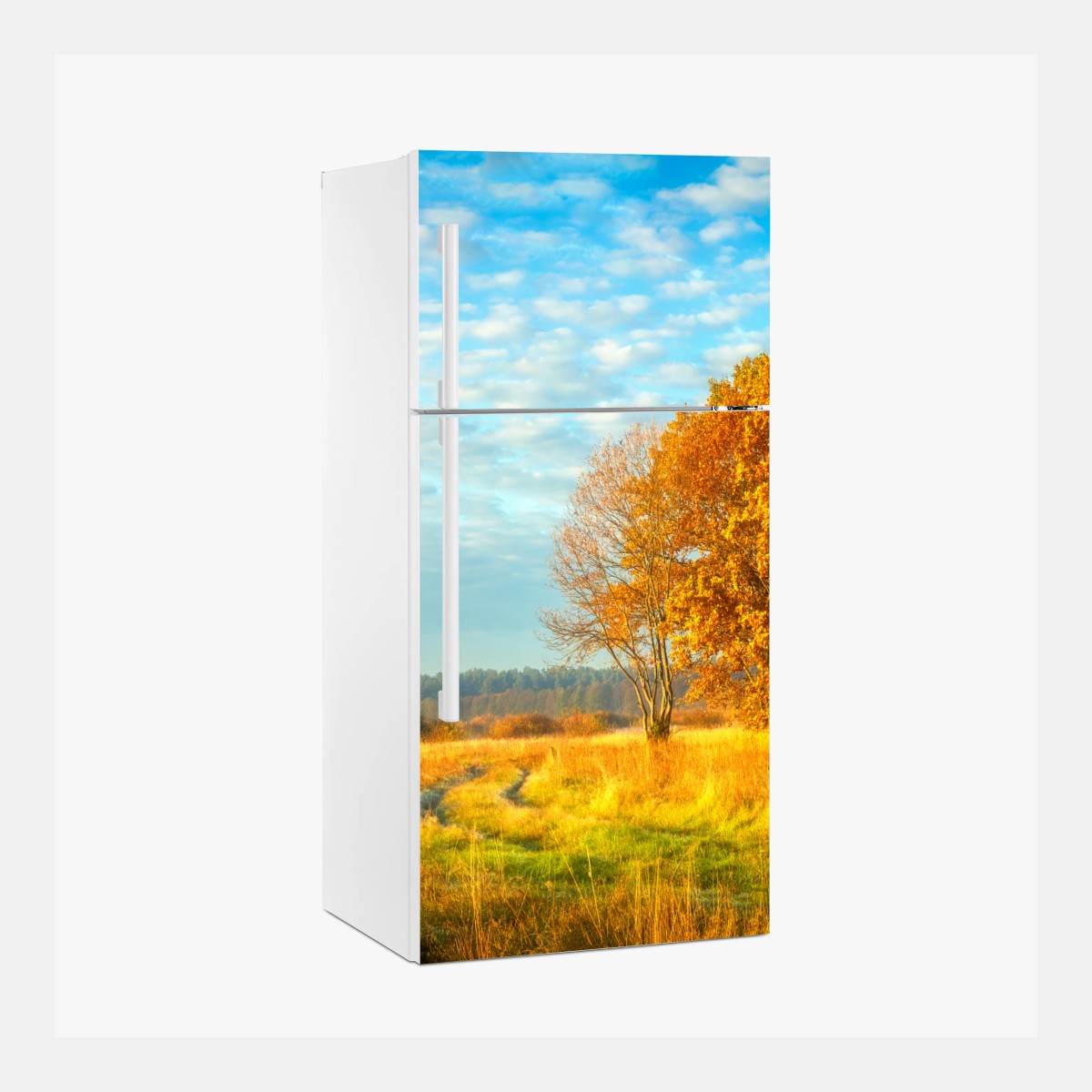 Kühlschrankaufkleber goldene herbstwiese – Pixers®