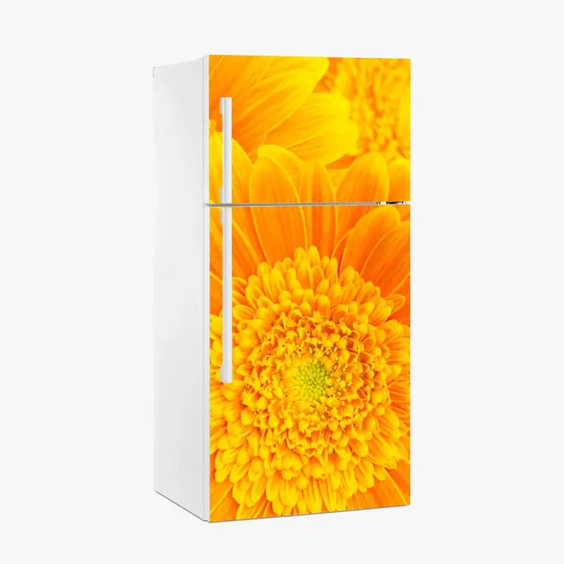 Kühlschrankaufkleber intensive orange gerbera nahaufnahme