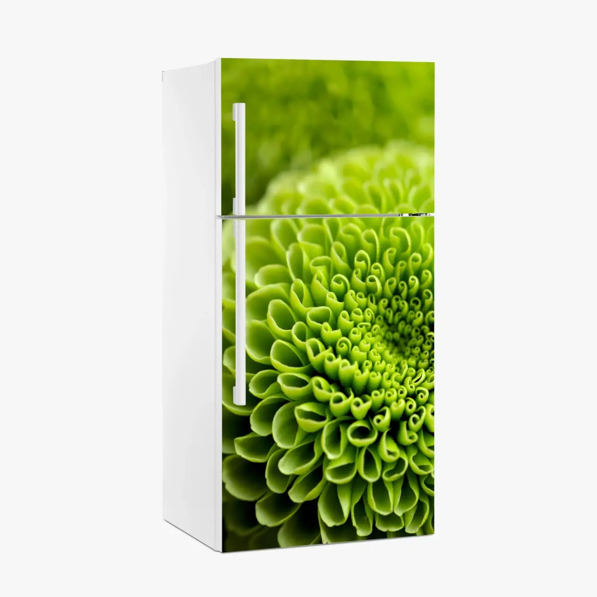 Kühlschrankaufkleber leuchtende grüne blumenspirale im makro – Pixers®