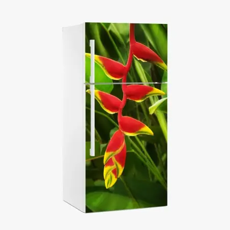 Kühlschrankaufkleber leuchtende heliconia im tropischen laub – Pixers®