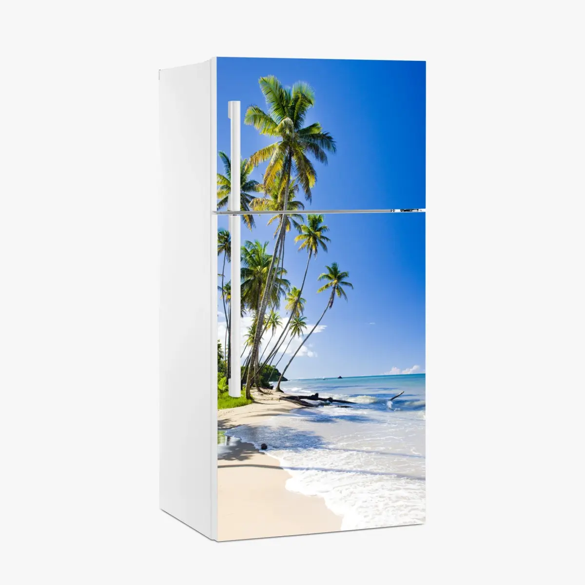 Kühlschrankaufkleber tropischer palmenstrand unter blauem himmel – Pixers®