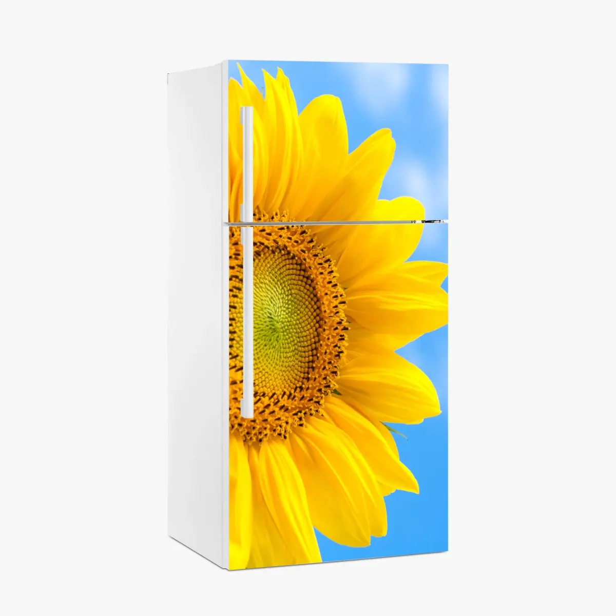 Kühlschrankaufkleber leuchtende sonnenblume vor blauem himmel – Pixers®