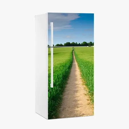 Kühlschrankaufkleber sonnenbeschienener weg durch grüne wiese – Pixers®