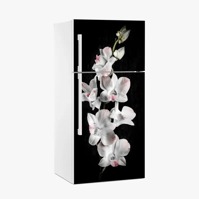Kühlschrankaufkleber weiße und rosa orchidee vor schwarzem hintergrund