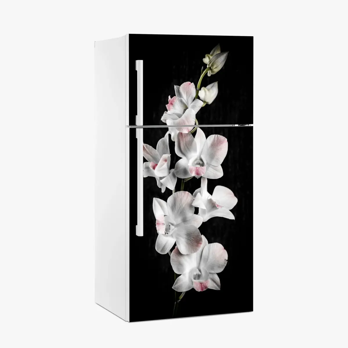Kühlschrankaufkleber weiße und rosa orchidee vor schwarzem hintergrund – Pixers®