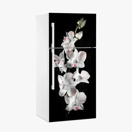 Kühlschrankaufkleber weiße und rosa orchidee vor schwarzem hintergrund – Pixers®