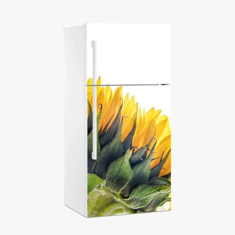 Kühlschrankaufkleber sonnenblume in der ecke auf weißem hintergrund