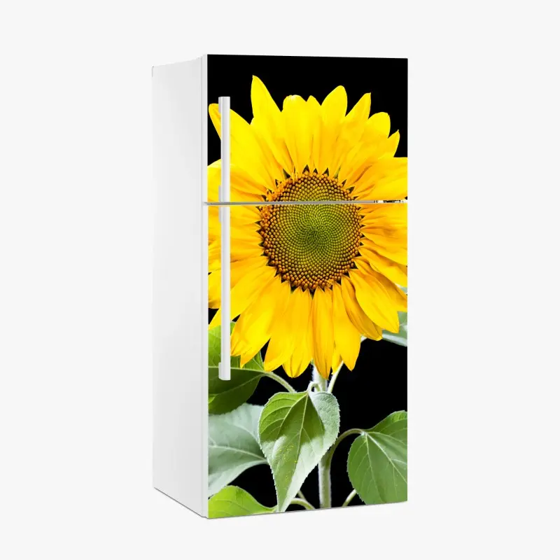 Kühlschrankaufkleber leuchtende sonnenblume vor schwarzem hintergrund