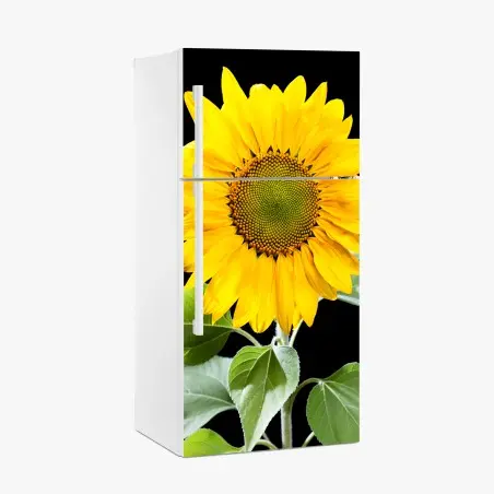 Kühlschrankaufkleber leuchtende sonnenblume vor schwarzem hintergrund – Pixers®