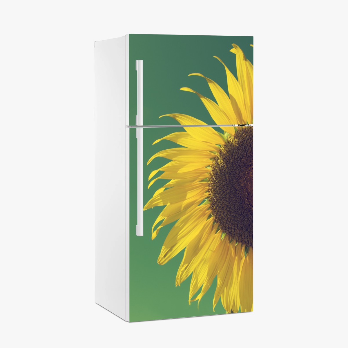 Kühlschrankaufkleber strahlende sonnenblume vor vintage-himmel – Pixers®