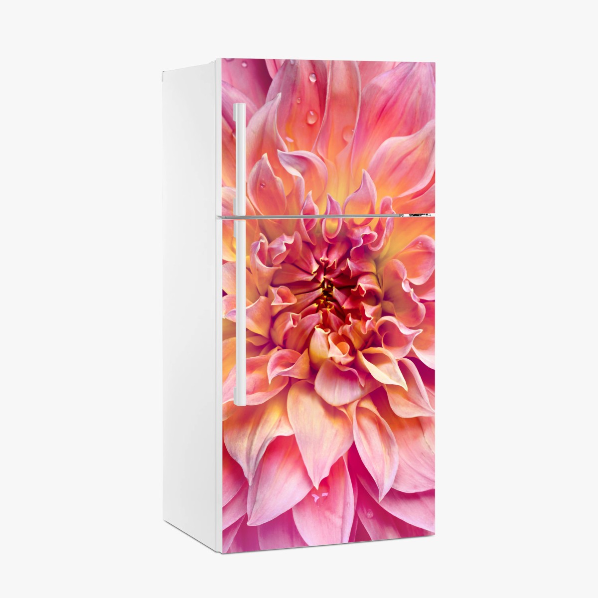 Kühlschrankaufkleber rosa dahlie nahaufnahme – Pixers®