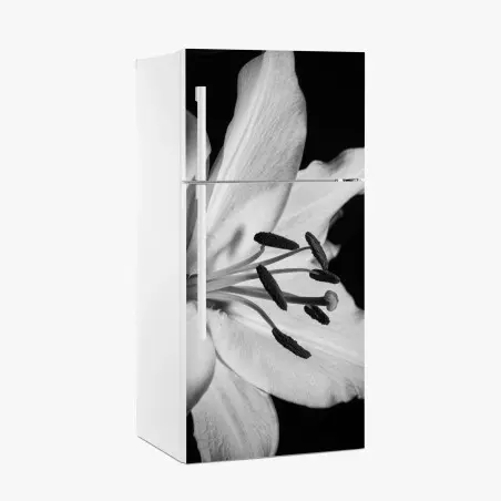 Kühlschrankaufkleber monochrome lilie nahaufnahme – Pixers®