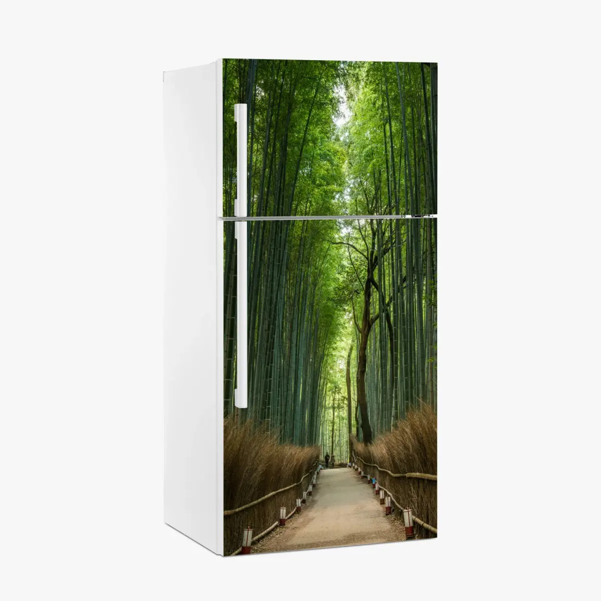 Kühlschrankaufkleber ruhiger bambushainpfad – Pixers®