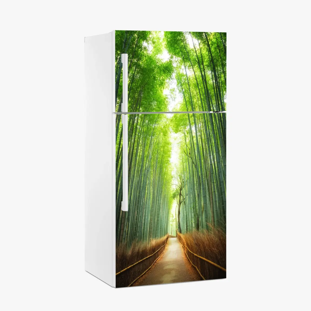 Kühlschrankaufkleber weg durch den bambushain von Arashiyama – Pixers®