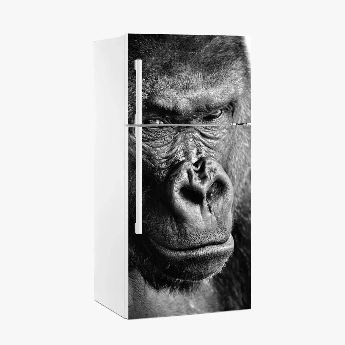Kühlschrankaufkleber intensives gorilla-porträt in schwarzweiß – Pixers®