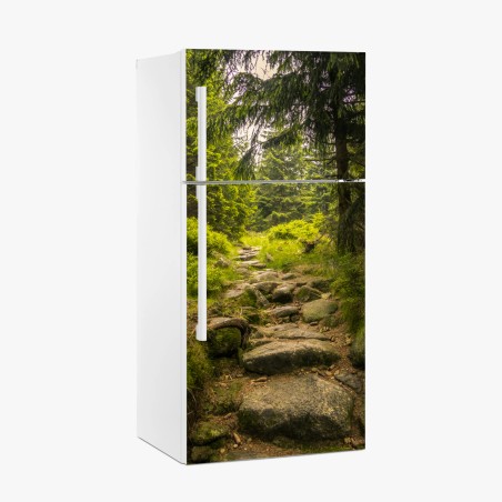 Kühlschrankaufkleber ruhiger waldweg durch nadelwald – Pixers®