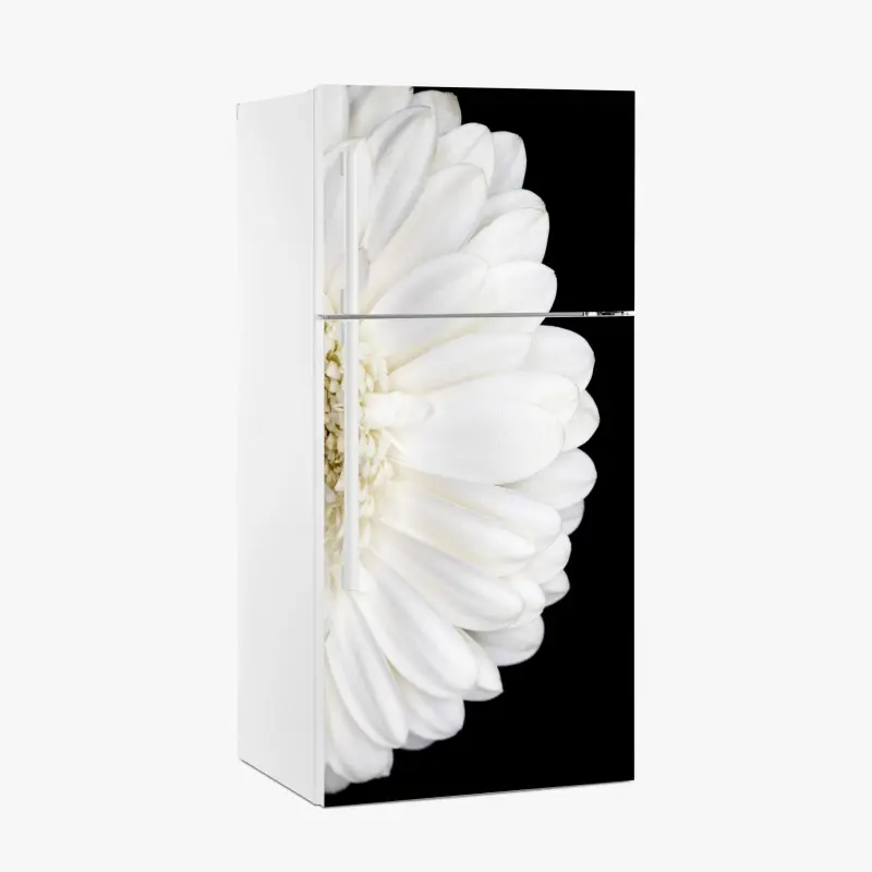 Kühlschrankaufkleber weiße gerbera auf schwarzem hintergrund minimalistische nahaufnahme