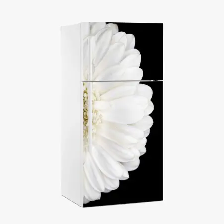 Kühlschrankaufkleber weiße gerbera auf schwarzem hintergrund minimalistische nahaufnahme – Pixers®