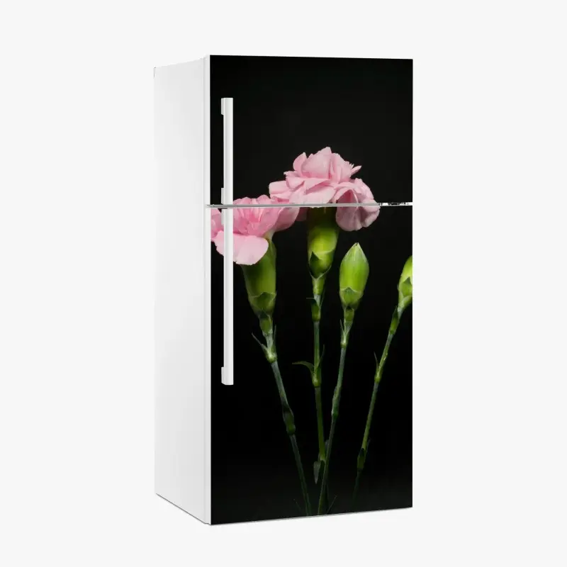 Kühlschrankaufkleber rosa nelken vor schwarzem hintergrund