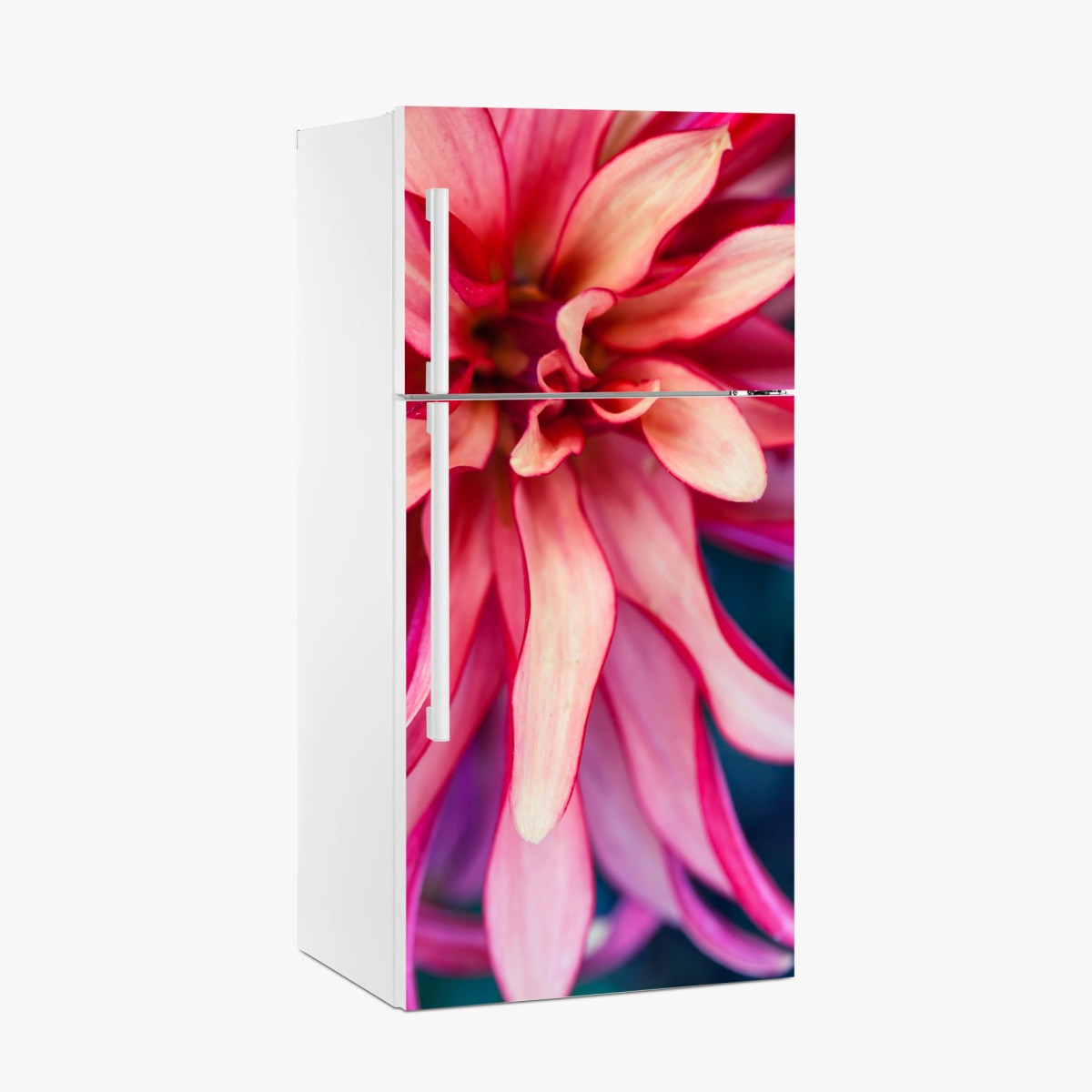 Kühlschrankaufkleber vibrantes rosa blütenmakro – Pixers®