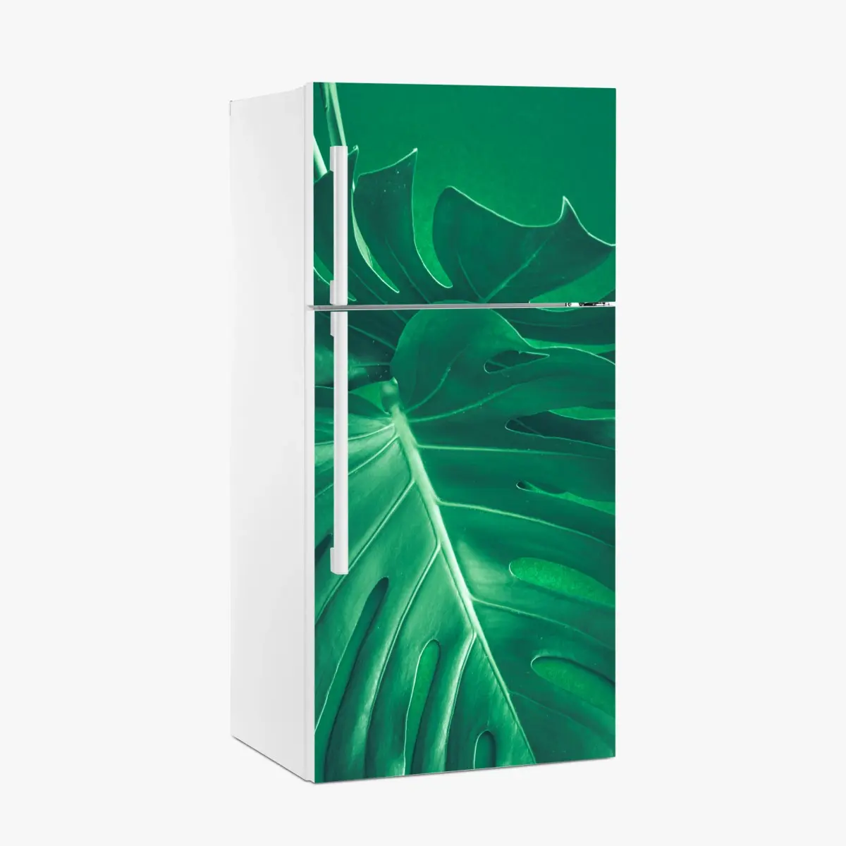 Kühlschrankaufkleber prächtiges monstera-blatt nahaufnahme – Pixers®