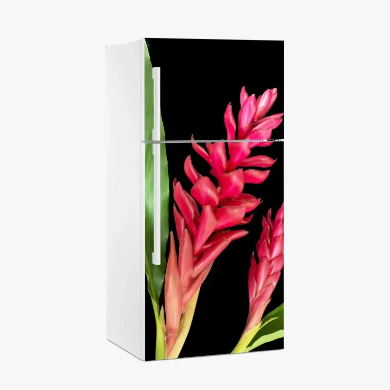 Kühlschrankaufkleber leuchtende zier-ingwer-blüte auf schwarzem hintergrund
