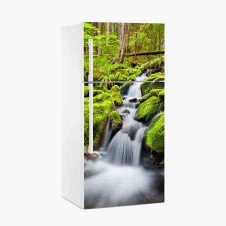 Kühlschrankaufkleber moosbedeckter bach bei Sol Duc Falls – Pixers®