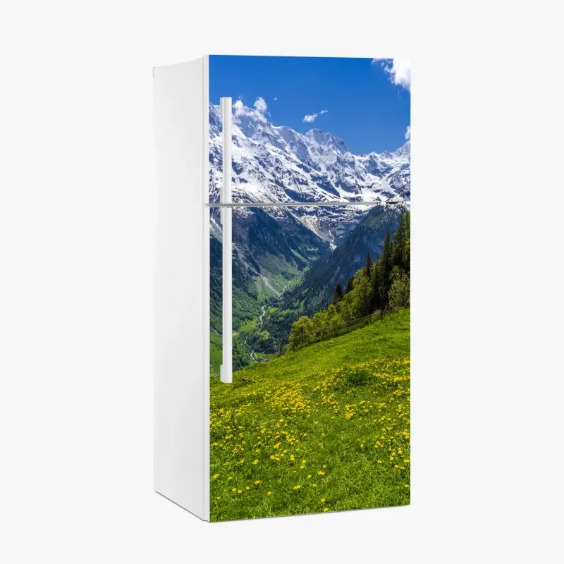 Kühlschrankaufkleber alpwiese im frühling vor schneebedeckten gipfeln