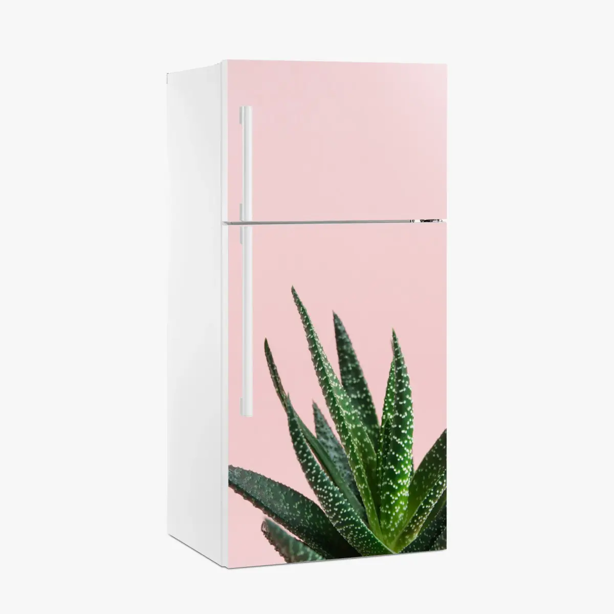 Kühlschrankaufkleber grüner aloes auf rosa hintergrund – Pixers®
