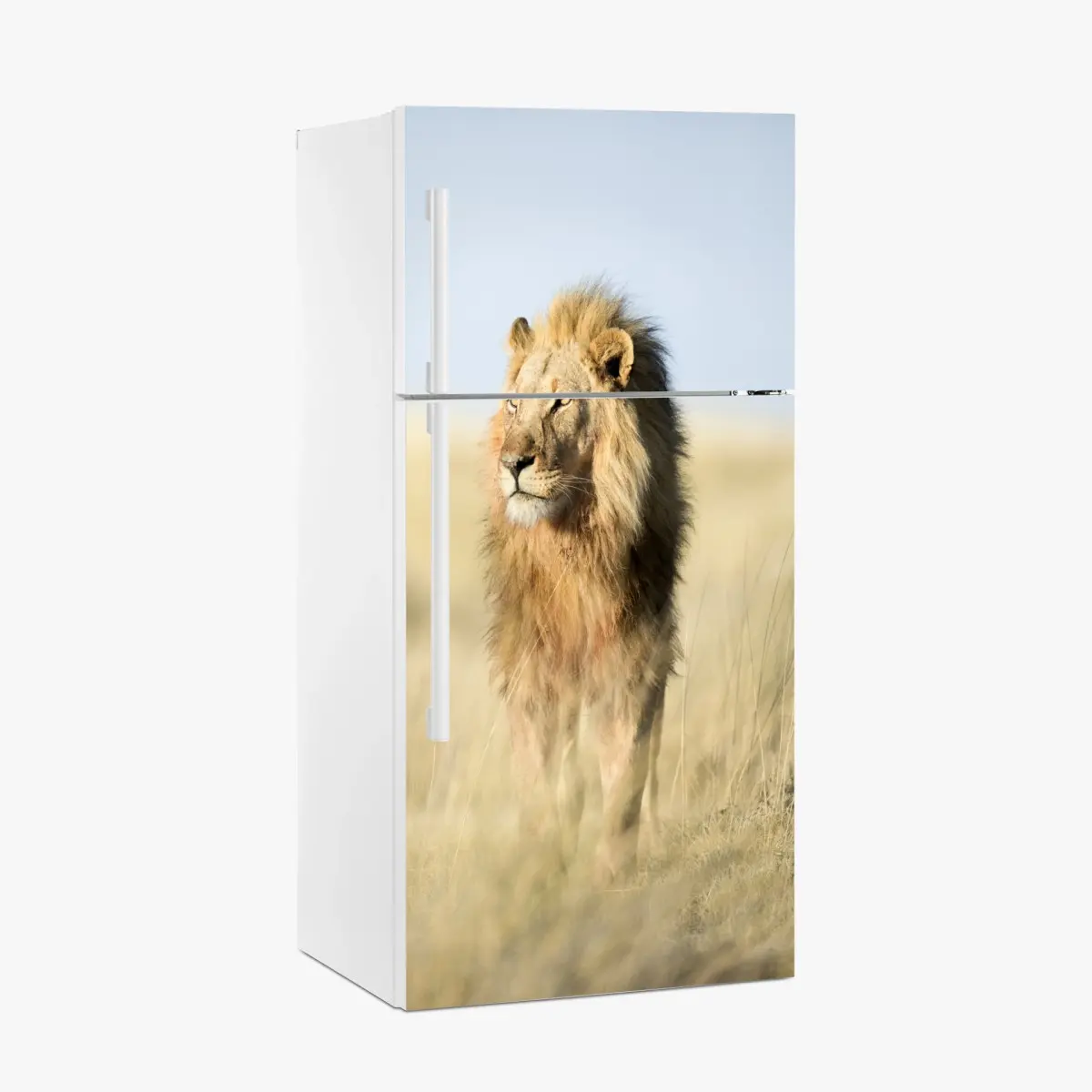 Kühlschrankaufkleber majestätischer löwe in der steppe – Pixers®