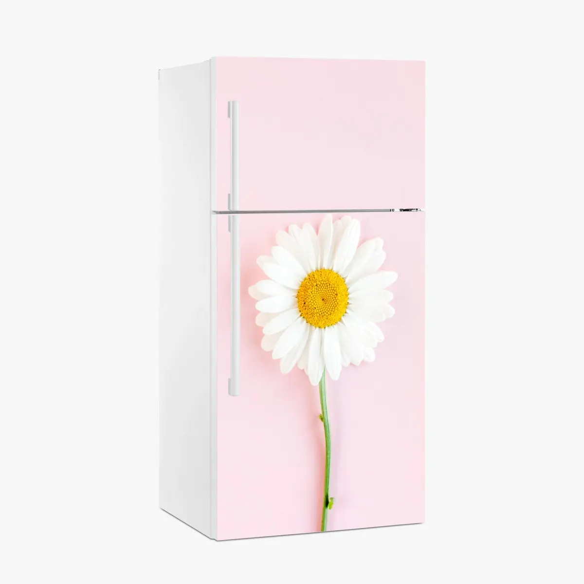 Kühlschrankaufkleber weißes gänseblümchen auf pastellrosa hintergrund – Pixers®