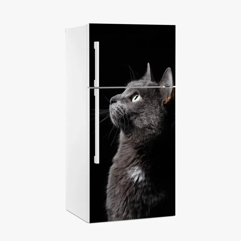 Kühlschrankaufkleber elegantes porträt einer grauen katze