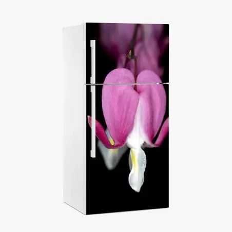 Kühlschrankaufkleber zartes rosa herzblüte nahaufnahme – Pixers®