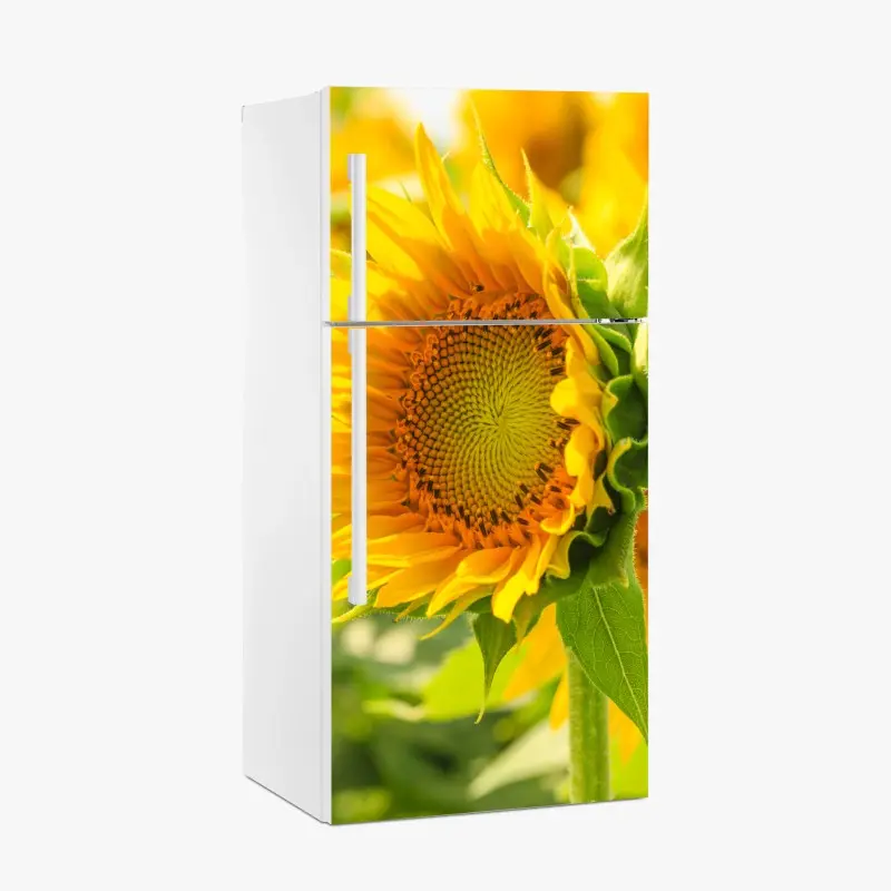 Kühlschrankaufkleber sonnenblume nahaufnahme