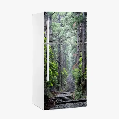 Kühlschrankaufkleber mystischer waldweg zwischen alten bäumen – Pixers®