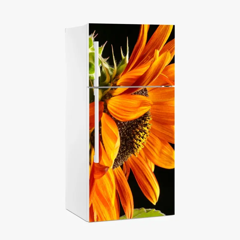 Kühlschrankaufkleber leuchtende orange sonnenblume nahaufnahme