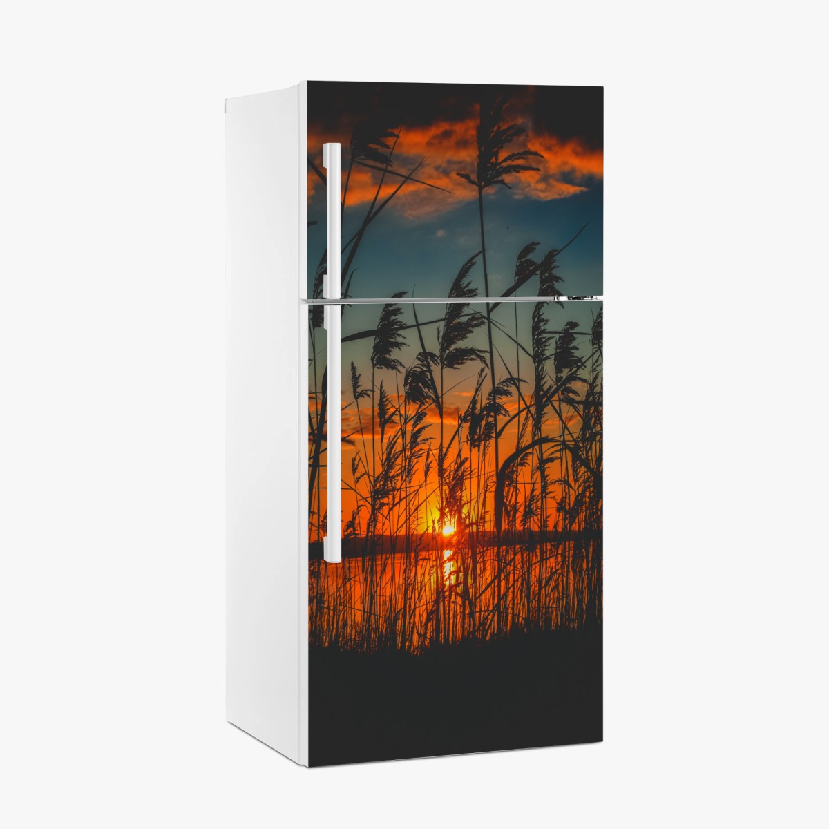 Kühlschrankaufkleber sonnenuntergang am see mit schilf-silhouette – Pixers®