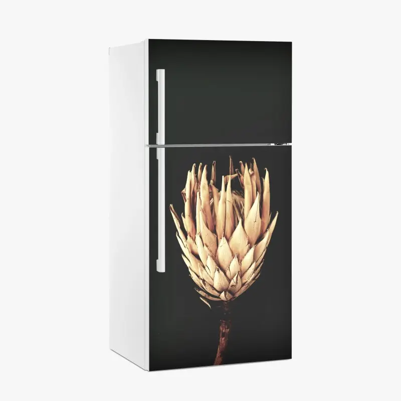 Kühlschrankaufkleber getrocknete protea in sepia