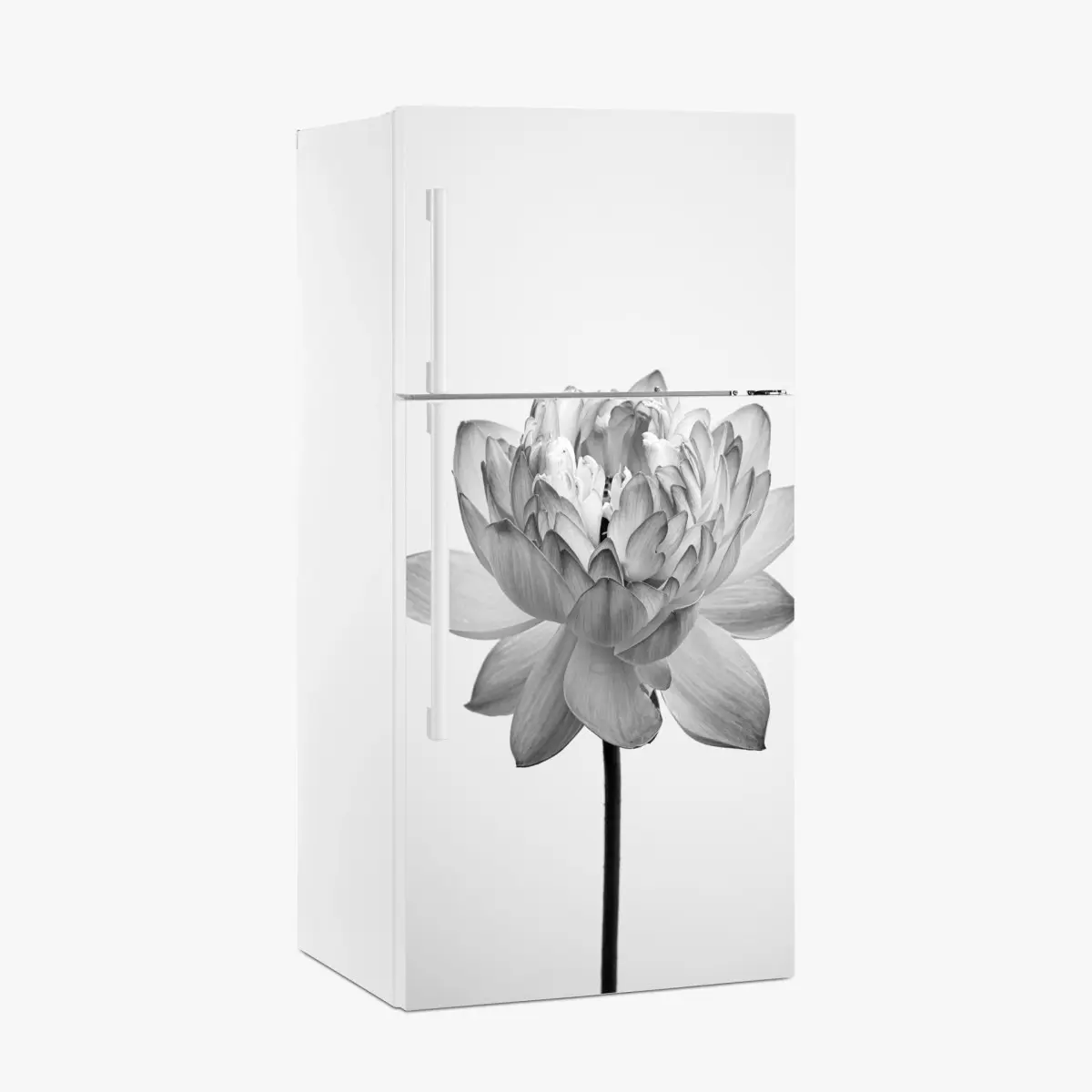 Kühlschrankaufkleber ruhevoller lotus in graustufen – Pixers®