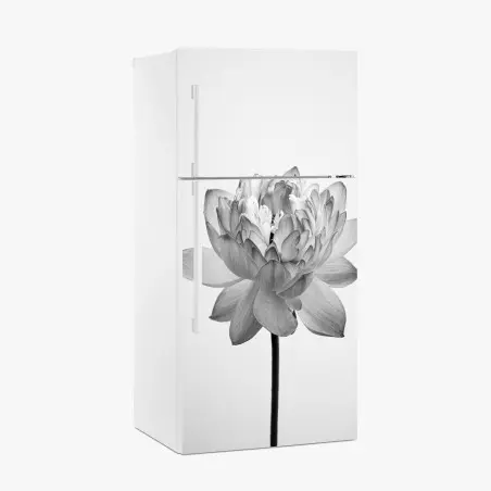 Kühlschrankaufkleber ruhevoller lotus in graustufen – Pixers®