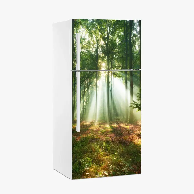 Kühlschrankaufkleber morgendliches licht im wald