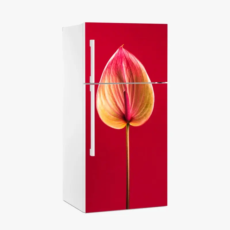 Kühlschrankaufkleber elegantes anthurium vor rotem hintergrund