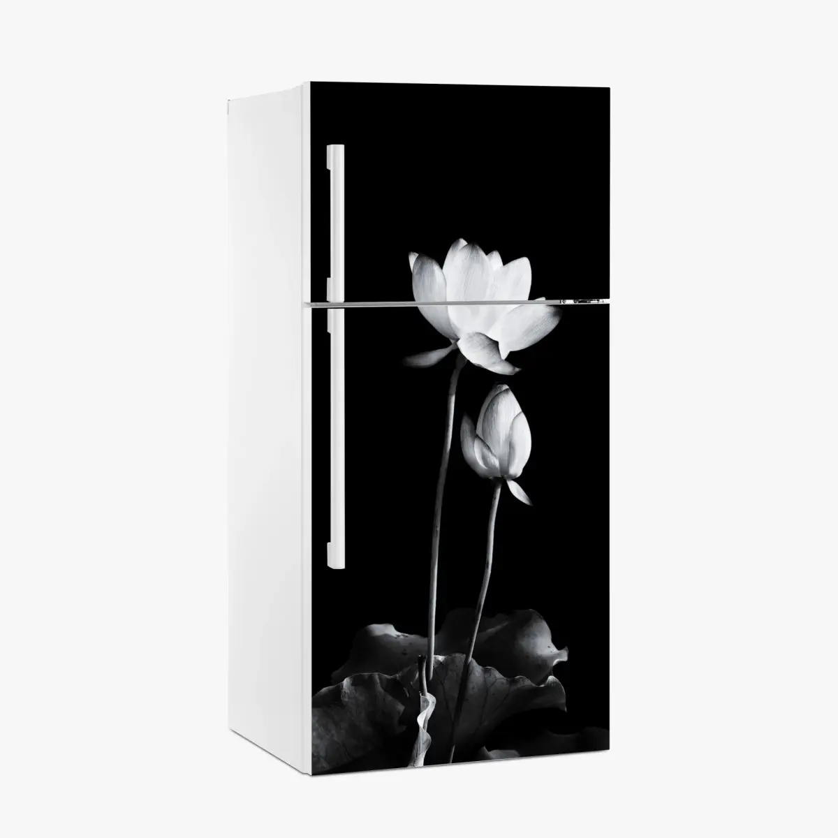 Kühlschrankaufkleber weißer lotus in monochrom – Pixers®