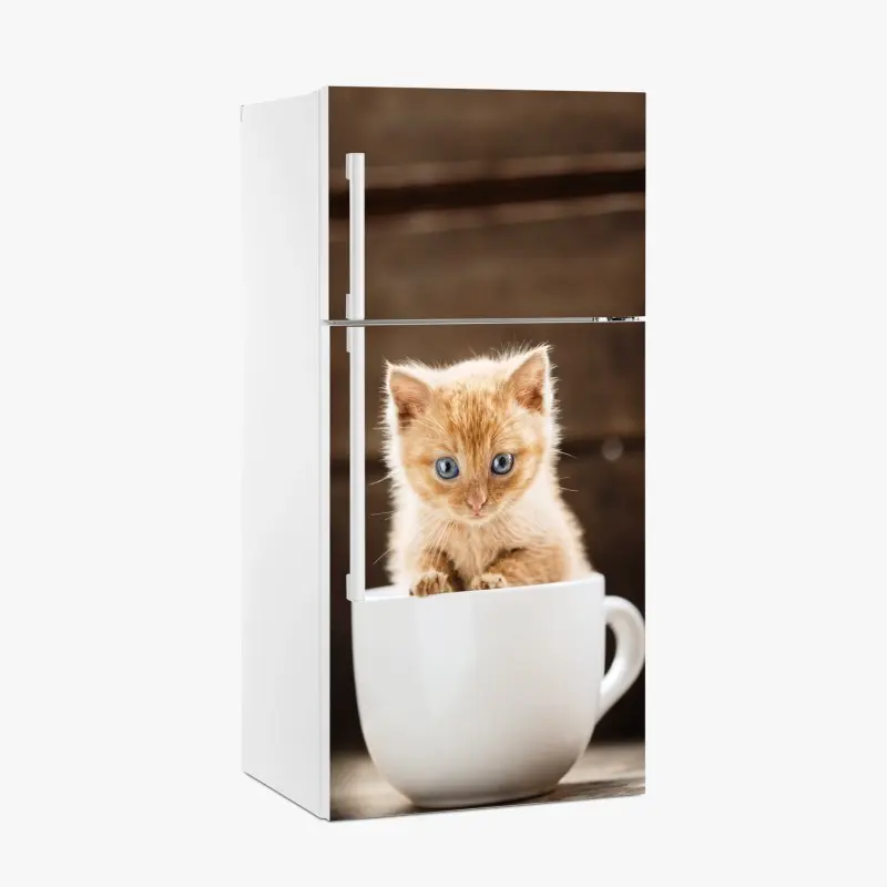 Kühlschrankaufkleber rötliches kätzchen in einer teetasse