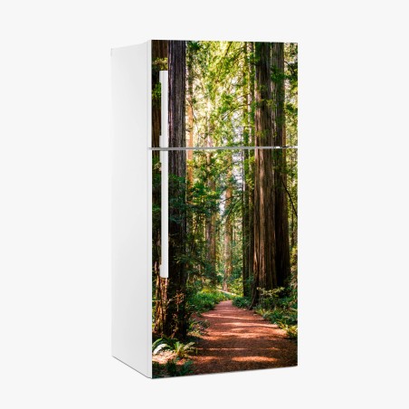 Kühlschrankaufkleber majestätischer weg im sekwoienwald – Pixers®
