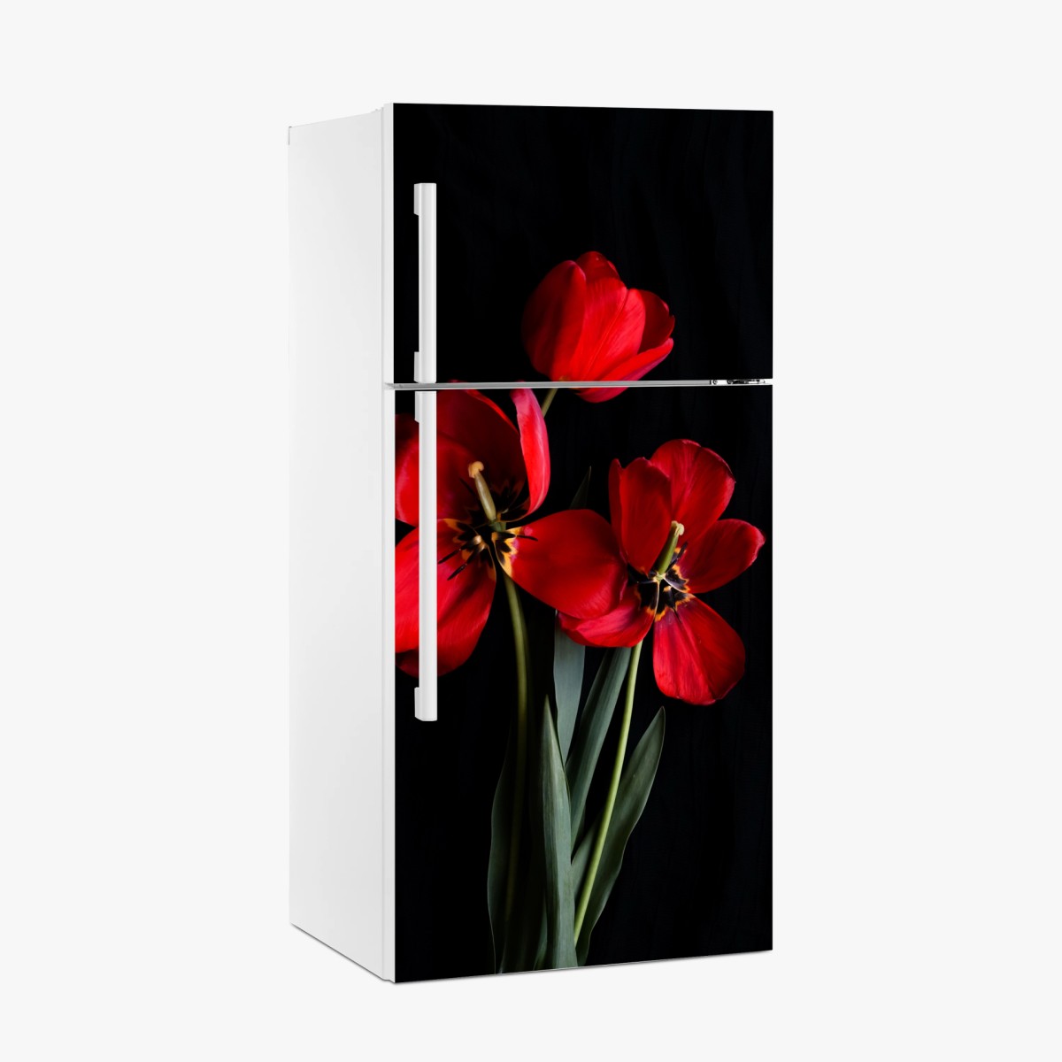 Kühlschrankaufkleber drei rote tulpen vor schwarzem hintergrund – Pixers®