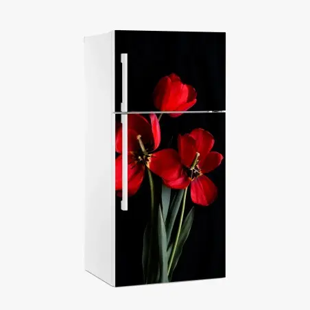 Kühlschrankaufkleber drei rote tulpen vor schwarzem hintergrund – Pixers®
