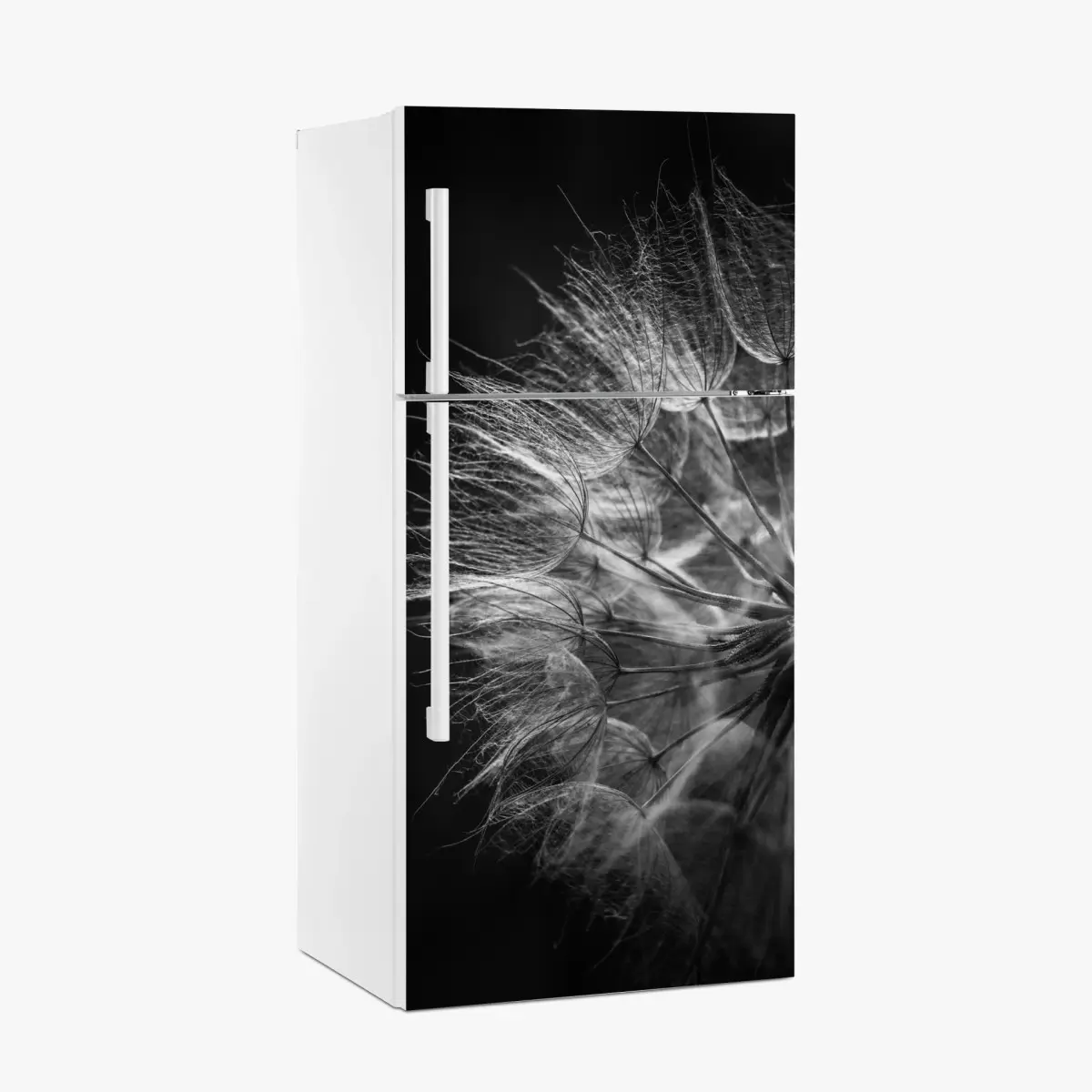 Kühlschrankaufkleber zarter löwenzahn in monochrom – Pixers®