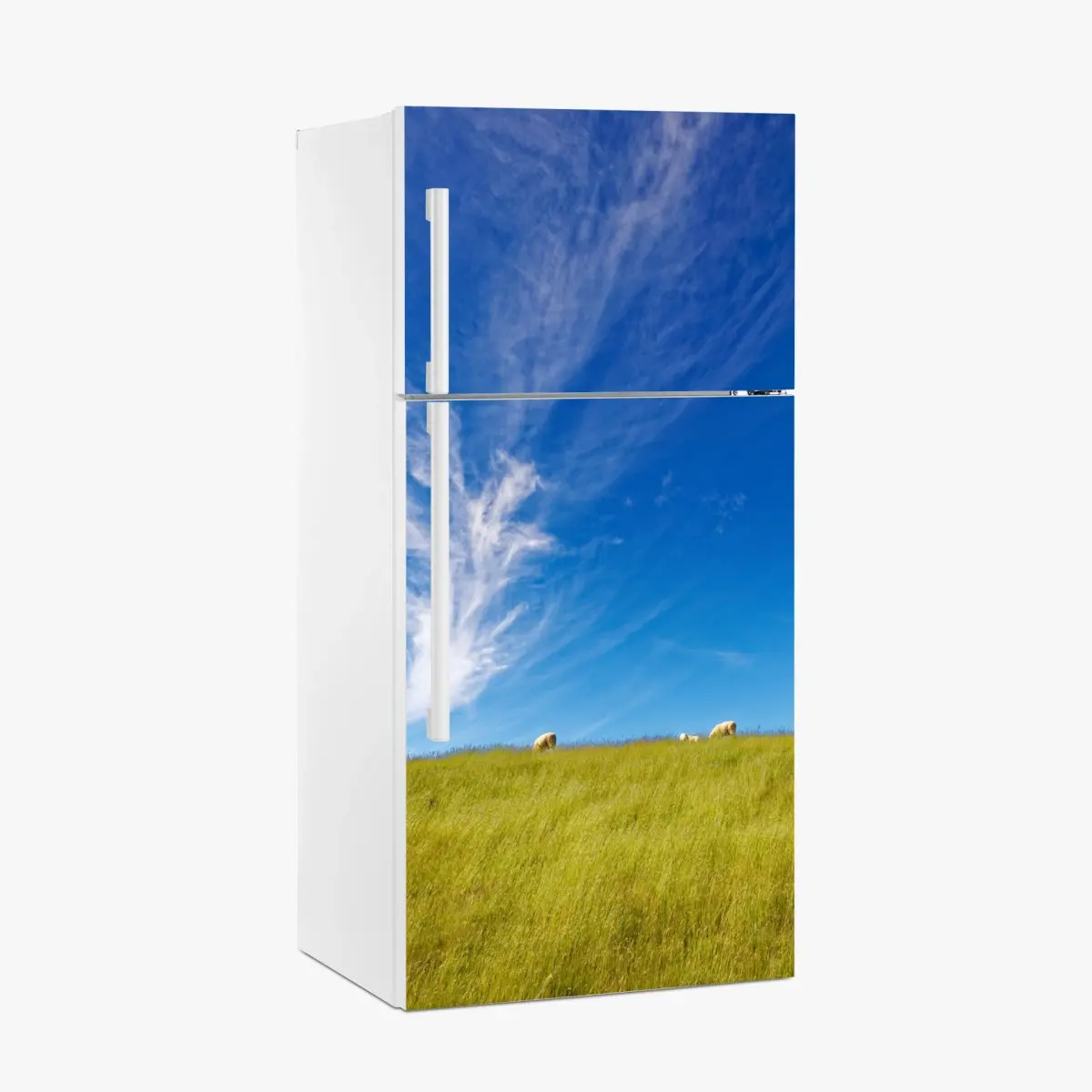 Kühlschrankaufkleber ruhige wiese unter blauem himmel – Pixers®